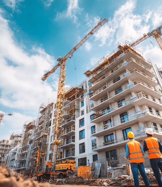 Untitled design (22)