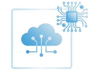 Untitled design (81)