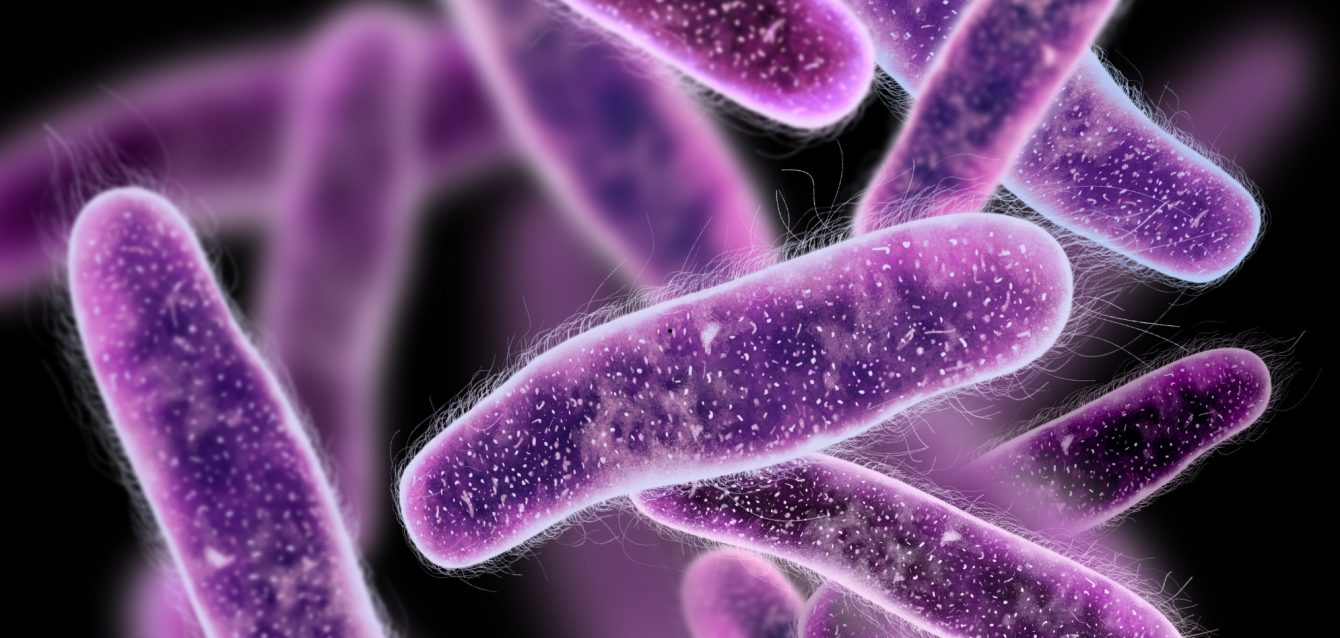 Untitled design (15)