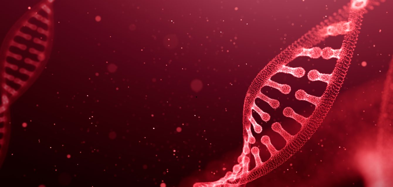 Untitled design (26)